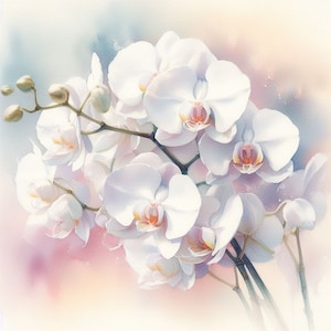 PDF Flower White Orchid Geteld kruissteekpatroon Digitale X-steekgrafiek modern Instant Download digitaal formaat