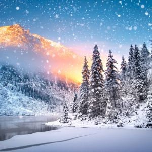 PDF Snowfall night Counted cross stitch pattern landscape Digital cross stitch chart seascape PDF cross stitch pattern