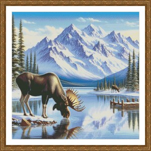 May include: A brown moose with large antlers drinks from a clear blue lake in front of a snowy mountain range. The sky is blue and the water reflects the mountains.