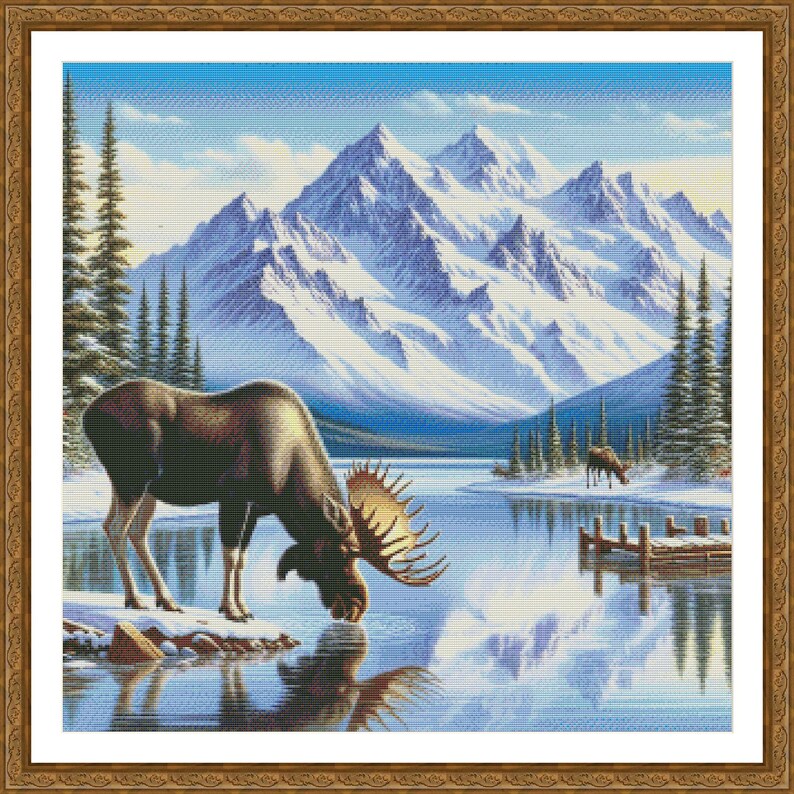 May include: A brown moose with large antlers drinks from a clear blue lake in front of a snowy mountain range. The sky is blue and the water reflects the mountains.