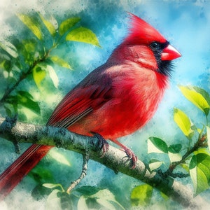 PDF Red Northern Cardinal Bird Cross Stitch Pattern Digital Cross Stitch Chart PDF Cross Stitch Pattern