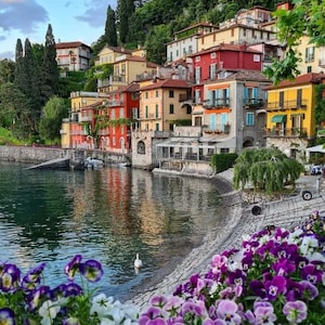 May include: A picturesque waterfront village with colourful buildings lining the shore. The buildings are a mix of red, yellow, and white, with some featuring terracotta roofs. The water is calm and reflects the buildings. There are flowers in the foreground.