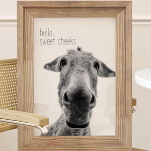 Donkey A Little Awkward Funny Bathroom Wall Art Animal Humor Farmhouse Toilet Bathroom Decor Cute Animal Apartment Wall Art Dorm Poster
