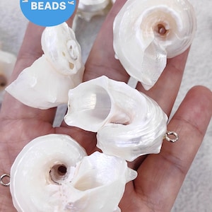 May include: White seashell beads with a pearlescent sheen, each featuring a spiral design. The beads have a small silver-colored loop attached for stringing. The image includes the text "WK DIY Jewelry BEADS".