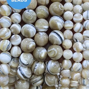 Può includere: Primo piano di una collana di perle di conchiglia bianche e marroni. Le perle hanno un motivo a spirale e sono infilate su un filo trasparente. Le perle sono disposte in un mucchio, con alcune perle sovrapposte.