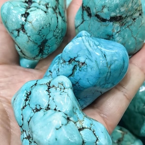 Peut inclure: Plusieurs pierres turquoises veinées de sombre sont présentées. Les pierres ont un aspect lisse et poli et une couleur bleu-vert vibrante. Les pierres sont de forme irrégulière et semblent être des pierres précieuses naturelles.