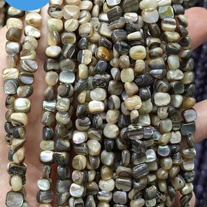 May include: A strand of brown and white shell beads. The beads are irregularly shaped and have a natural, organic look.