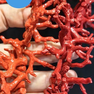 10 pezzi di corallo grezzo, conchiglia rosa, corallo rosso arancione, rami di corallo rosso grezzo, forma libera, dettagli realistici fatti a mano, ciondolo con ciondolo, orecchini focali