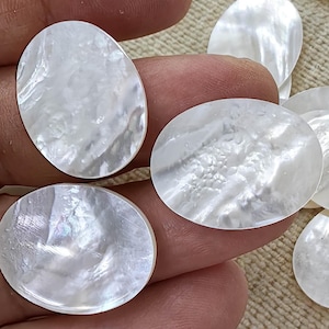 May include: Several iridescent, oval-shaped mother-of-pearl shells. The shells have a pearly white color with a textured surface. The shells are of varying sizes and are displayed against a neutral background.