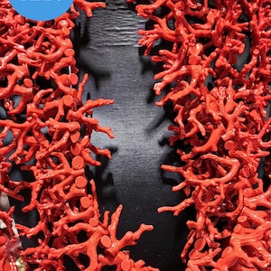 Unico 5 pezzi vita grezza, rami di corallo rosso albero grezzo forma libera realistica dettagli fatti a mano, ciondolo ciondolo