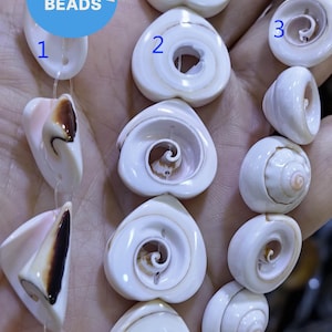 May include: A close-up of a strand of white seashell beads with a spiral pattern. The beads are strung on a clear thread and are arranged in a variety of shapes and sizes. The beads are labeled with numbers 1, 2, and 3. The text "WK DIY Jewelry Beads" is visible on a blue label.