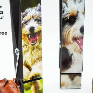 Magnets | Personalized Fridge Magnet | Print your pet family | Dog Magnet | Magnet | Cat Magnet