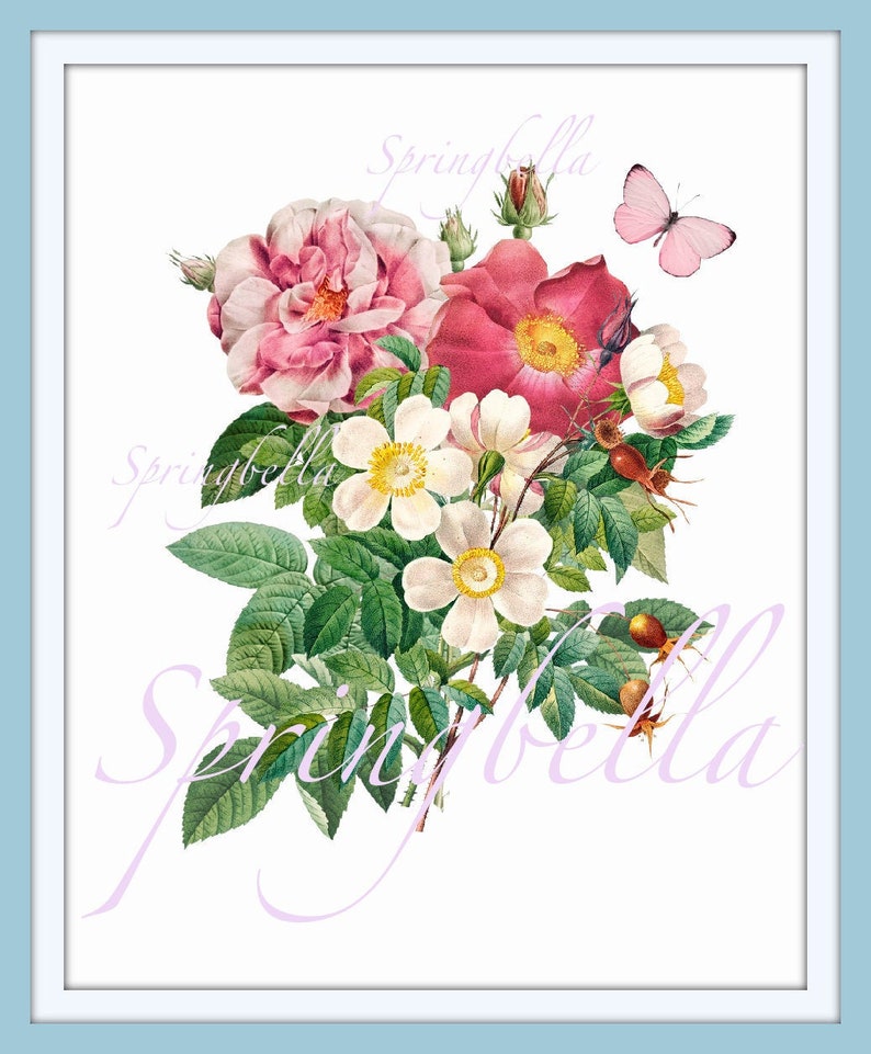 Redoute Flowers Bouquet Printable Roses Wall Decor Digital Download Clipart Transparent PNG File Card Making image 1