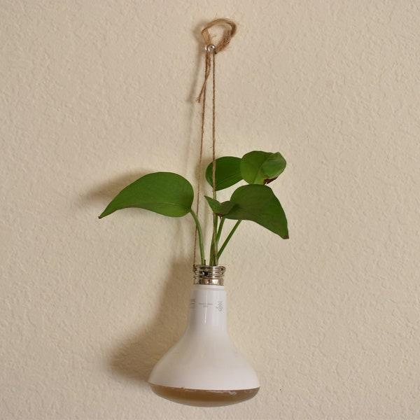 Plant Pot | Mini Planter | Bulb Planter | Decor Planter | DIY Light Bulb Planter | Home decor | Up cycle |