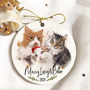 May include: A circular ceramic Christmas ornament displaying three cats with watercolour-style effects. One cat wears a Santa hat. The ornament is inscribed with "Macy Lucy & Bobo" and the year "2025" in a decorative font, with a green leaf border.
