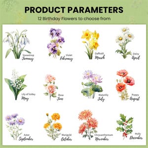 Pu&ograve; includere: Uno sfondo bianco mostra illustrazioni ad acquerello di 12 fiori, ognuno rappresentante un mese di nascita. Il testo "PRODUCT PARAMETERS" e "12 Birthday Flowers to choose from" sono in alto. I fiori includono bucaneve, viola, narciso, margherita, mughetto, rosa, ninfea, papavero, aster, calendula, crisantemo e agrifoglio.