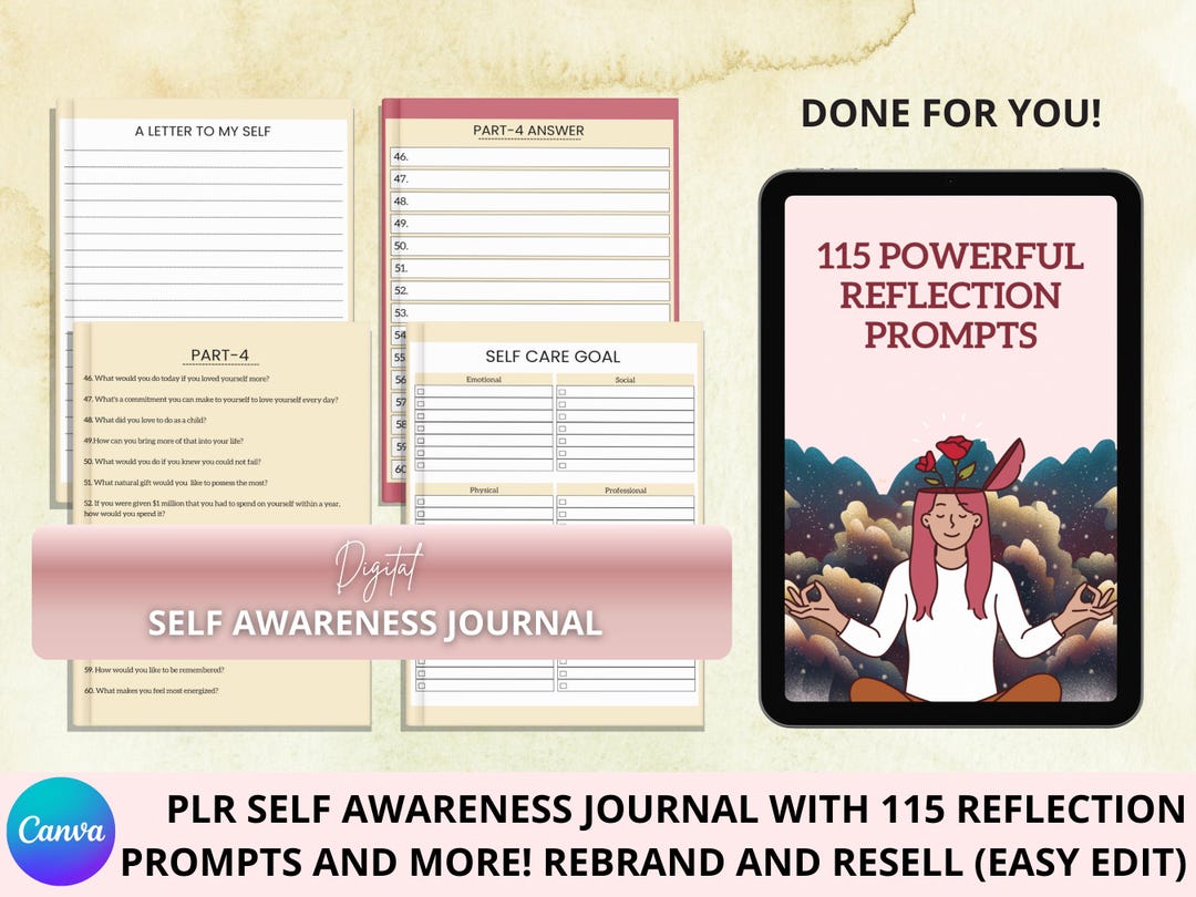 Reflection Prompts: Digital PLR Self Awareness Journal | Resell and ...