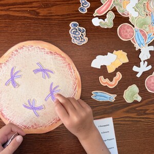 Build Your Own Pizza - Printable Activity - Instant Download image 5