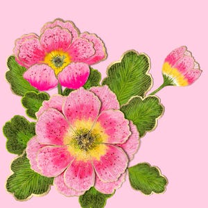 Grande flor rosa, cartão, convite de casamento, cartão para o dia das mulheres e dia das mães
