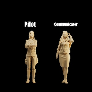 May include: Two figures, one wearing a pilot's uniform and the other a long dress and headscarf, stand against a black background. The text "Pilot" is above the figure in uniform and "Communicator" is above the other figure.