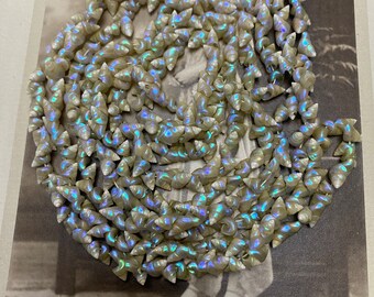 Vintage Art Deco Tasmanian Aboriginal Marineer Shell Necklace