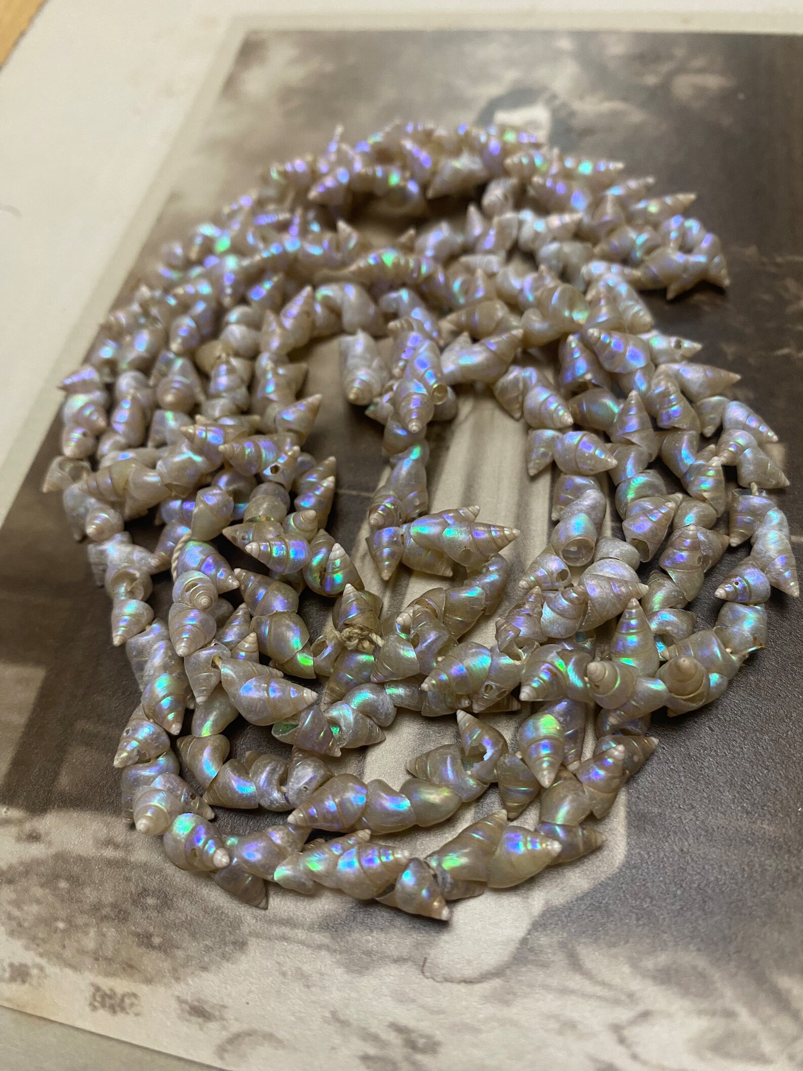 Vintage Art Deco Tasmanian Aboriginal Marineer Shell Necklace - Etsy