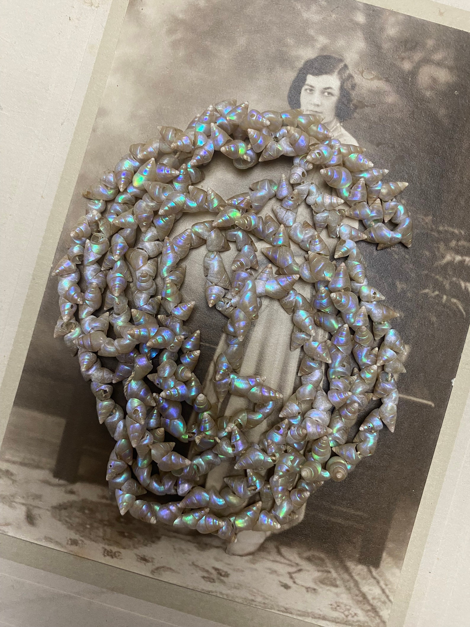 Vintage Art Deco Tasmanian Aboriginal Marineer Shell Necklace - Etsy