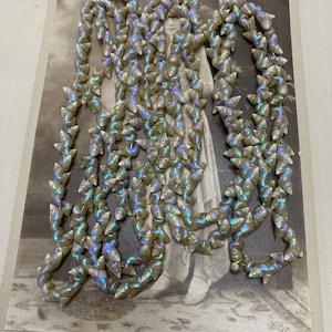 May include: A strand of iridescent white seashells strung together as a necklace. The shells are small and have a spiral shape.