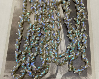 Vintage Art Deco Tasmanian Aboriginal Marineer Shell