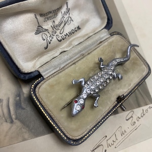 May include: A vintage silver-tone lizard brooch with clear rhinestone accents and red eyes, displayed in a blue jewelry box with the text "Robert Crawford Cumnock". The box has a cream-colored interior.