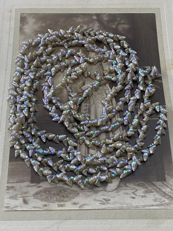 Vintage Art Deco Tasmanian Aboriginal Marineer Shell Necklace - Etsy