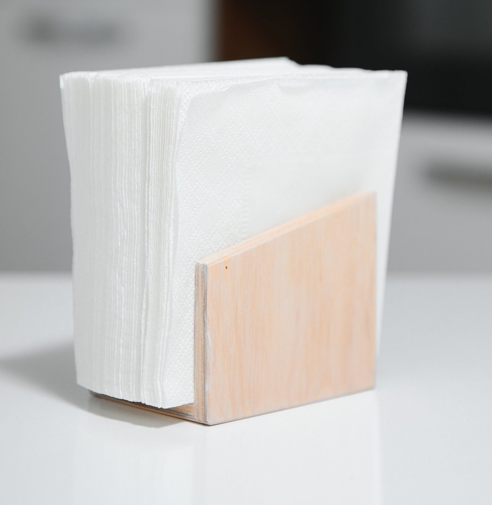 NATURE INSPIRED NAPKIN HOLDER main image 1