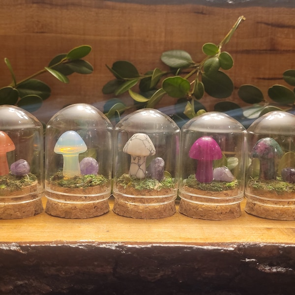 Mushroom Crystal Terrarium