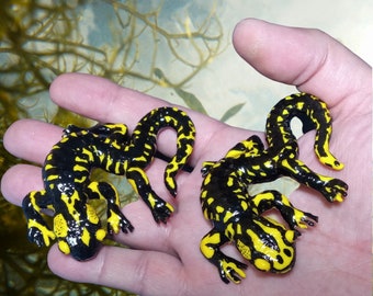 Handmade black salamander figurine resin, Home decor, Amphibian, Fire salamander, Life size salamander, 2.95 inches, Ideal spring gift