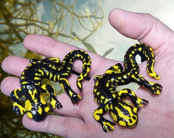 Salamander, Fire salamander, Resin salamander, Handmade painted, Amphibian, Life size salamander, Yellow resin, Home decor, 7.5 cms. length