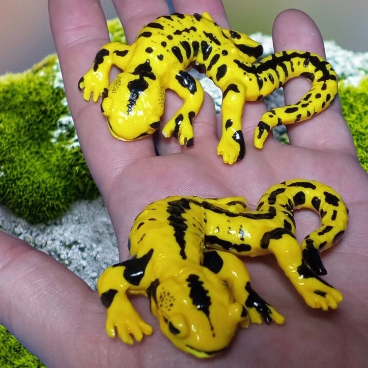 Handmade yellow salamander figurine resin, Home decor, Amphibian, Fire salamander, Life size salamander, Ideal spring gift, 2.95 inches