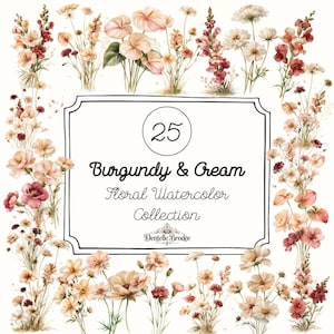 Peut inclure: Une collection d'illustrations florales à l'aquarelle dans des tons bordeaux et crème, disposées en bordure rectangulaire. Le centre présente un cadre à lignes noires avec le texte 25 Burgundy & Cream Floral Watercolor Collection et Dentelle Brodee.