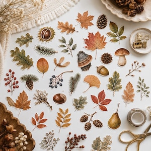 Peut inclure: Une collection d'autocollants découpés représentant divers éléments sur le thème de l'automne, notamment des feuilles d'érable, des feuilles de chêne, des pommes de pin, des glands, des champignons, des baies, des châtaignes et des feuilles de ginkgo.