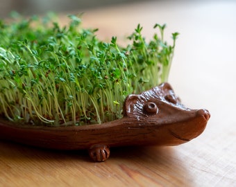 Erizo marrón de cerámica hecho a mano lindo regalo para niños plato de brotes único hecho a mano hecho a pedido amantes de la naturaleza accesorio de cocina