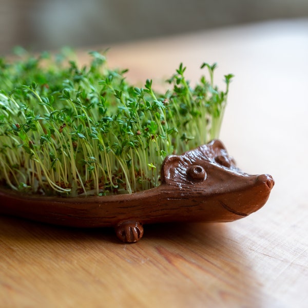 Handmade ceramic brown hedgehog cute gift for children handcrafted unique sprout plate made to order nature lovers kitchen accessoire