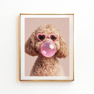 May include: A light brown poodle wearing pink heart-shaped sunglasses and blowing a pink bubble. The dog is looking directly at the camera.