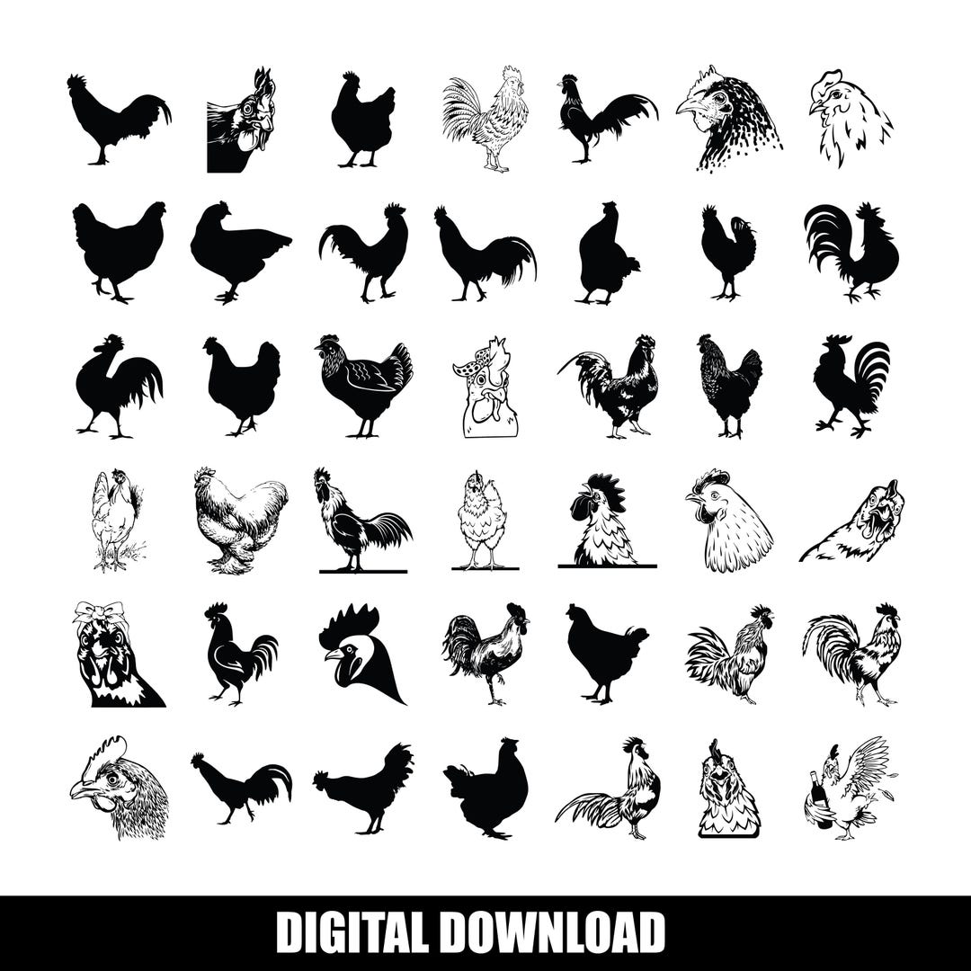 Chicken SVG Bundle | Funny Farm Chicken Svg | Farm Animal Clipart ...