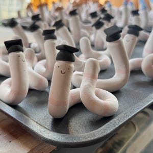 May include: A collection of small, light-colored, worm-shaped clay figurines, each wearing a miniature black graduation cap. The figures have simple, hand-drawn faces with two dots for eyes and a curved line for a mouth, arranged on a dark tray.