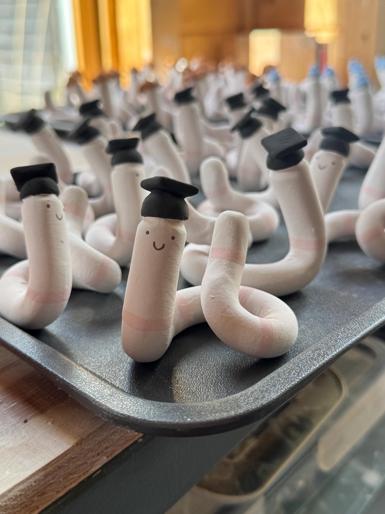 May include: A collection of small, light-colored, worm-shaped clay figurines, each wearing a miniature black graduation cap. The figures have simple, hand-drawn faces with two dots for eyes and a curved line for a mouth, arranged on a dark tray.
