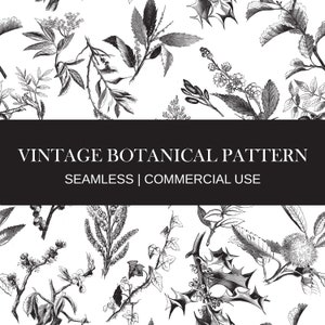 Vintage Botanical Seamless Pattern, Black and White Botanical Pattern, Plants Pattern, Seamless Pattern, Digital Paper, Herbal Pattern
