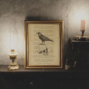 The raven poem poster, the raven poster, Edgar Allan Poe poster, the raven poem print, nevermore poster, printable wall art, literary gift