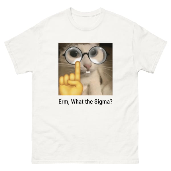 Erm, What the Sigma? Meme T-Shirt, Funny T-Shirts, Meme Shirts, Funny Brainrot Tee, Silly Cat Humor