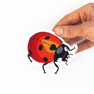May include: A red and black embroidered ladybug patch with black legs and antennae.