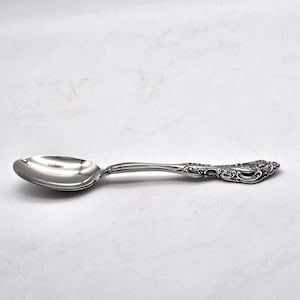 May include: A silver spoon with an ornate handle. The spoon has a rounded bowl and a decorative design on the handle.