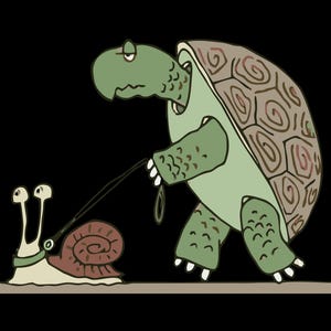 Image PNG de lot de tortue et escargot + fichier source vectoriel